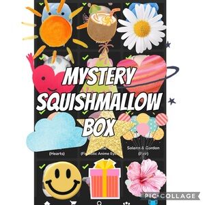 ✨📦 Mystery Squishmallow Box 📦✨